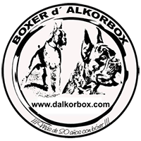 Criadero de perros Boxer en Madrid y Toledo