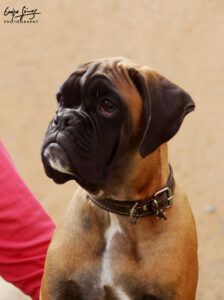 IMG_4118-copia