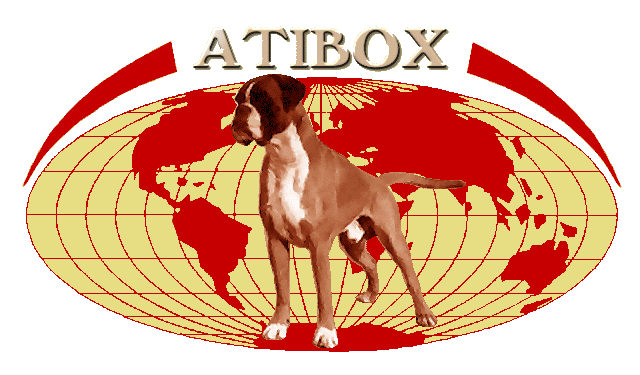 Logo-atibox-base-t