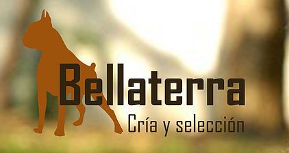 bellaterrra