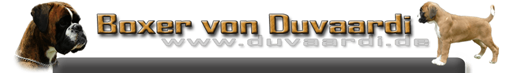 duvaardi_02