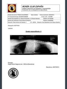 prueba-salud-espondilosis