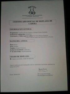 prueba-salus-displasia-cadera