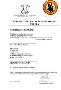 pruebas-RITA-displasia-cadera