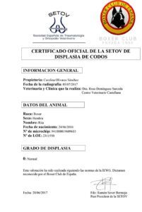 pruebas-RITA-displasia-codo