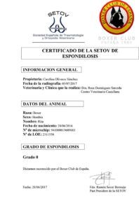 pruebas-RITA-espondilosis