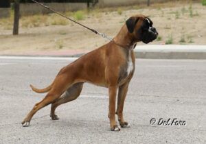 rita-10-meses