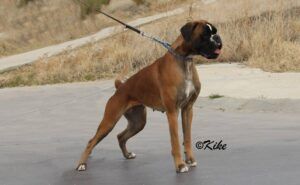 rita-15-años