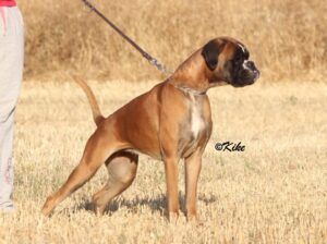 rita-2-años