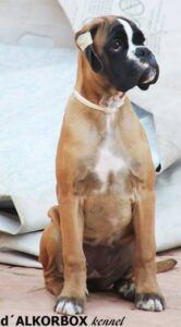 rita-4-meses