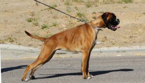 rita-9-meses