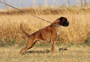 rita3años