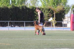 secrita2